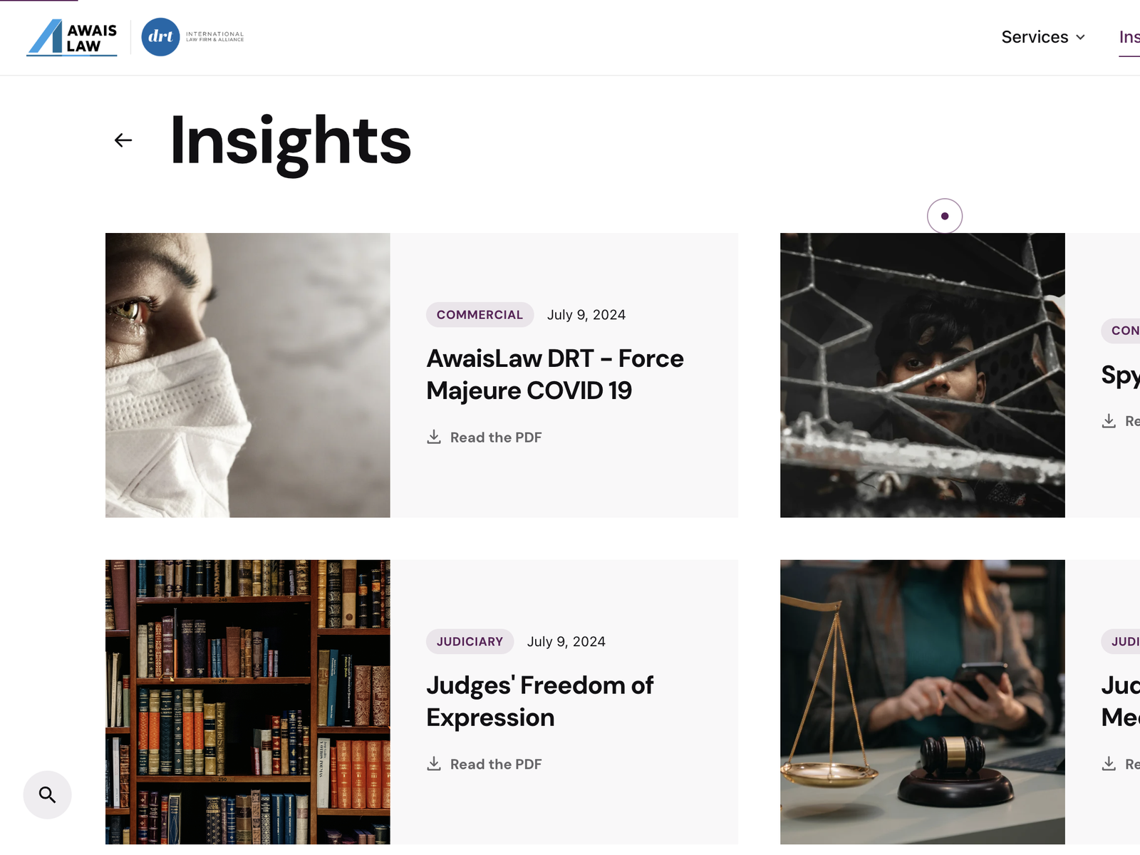 The Insights index, listing downloadable legal briefings by category — commercial, constitutional and judiciary — each with a 'Read the PDF' link